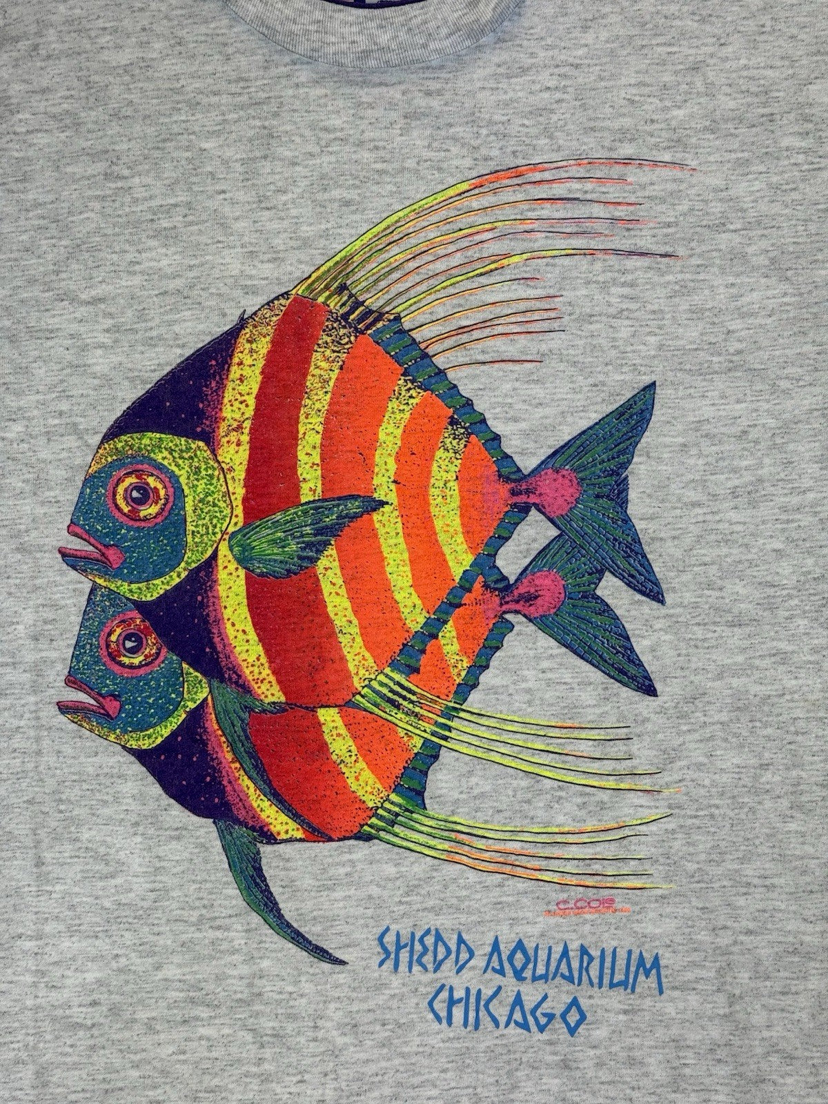 Vintage Chicago Aquarium Grey Print Top Large