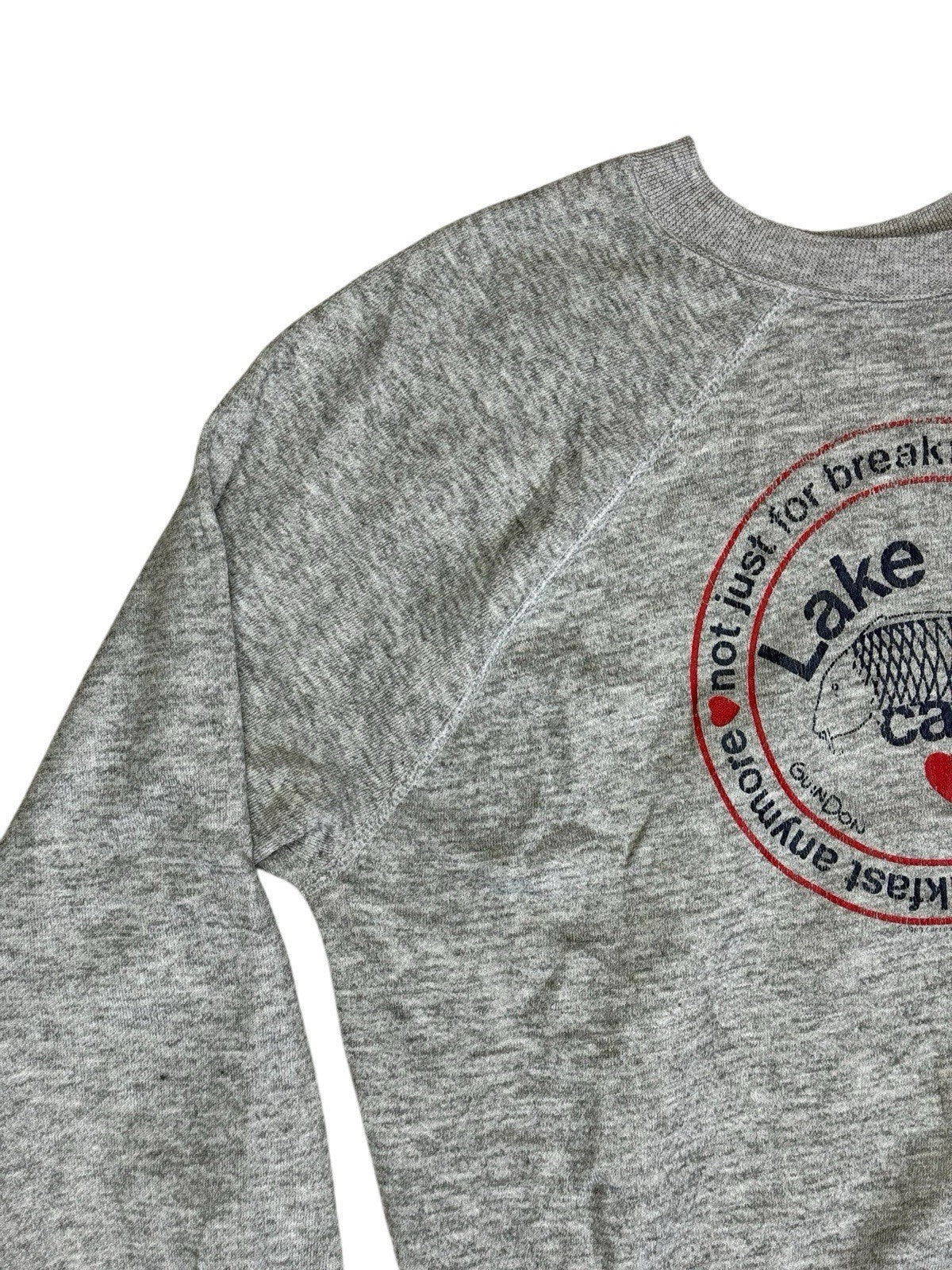 Lake Erie Vintage Funny Print Grey Jumper XL