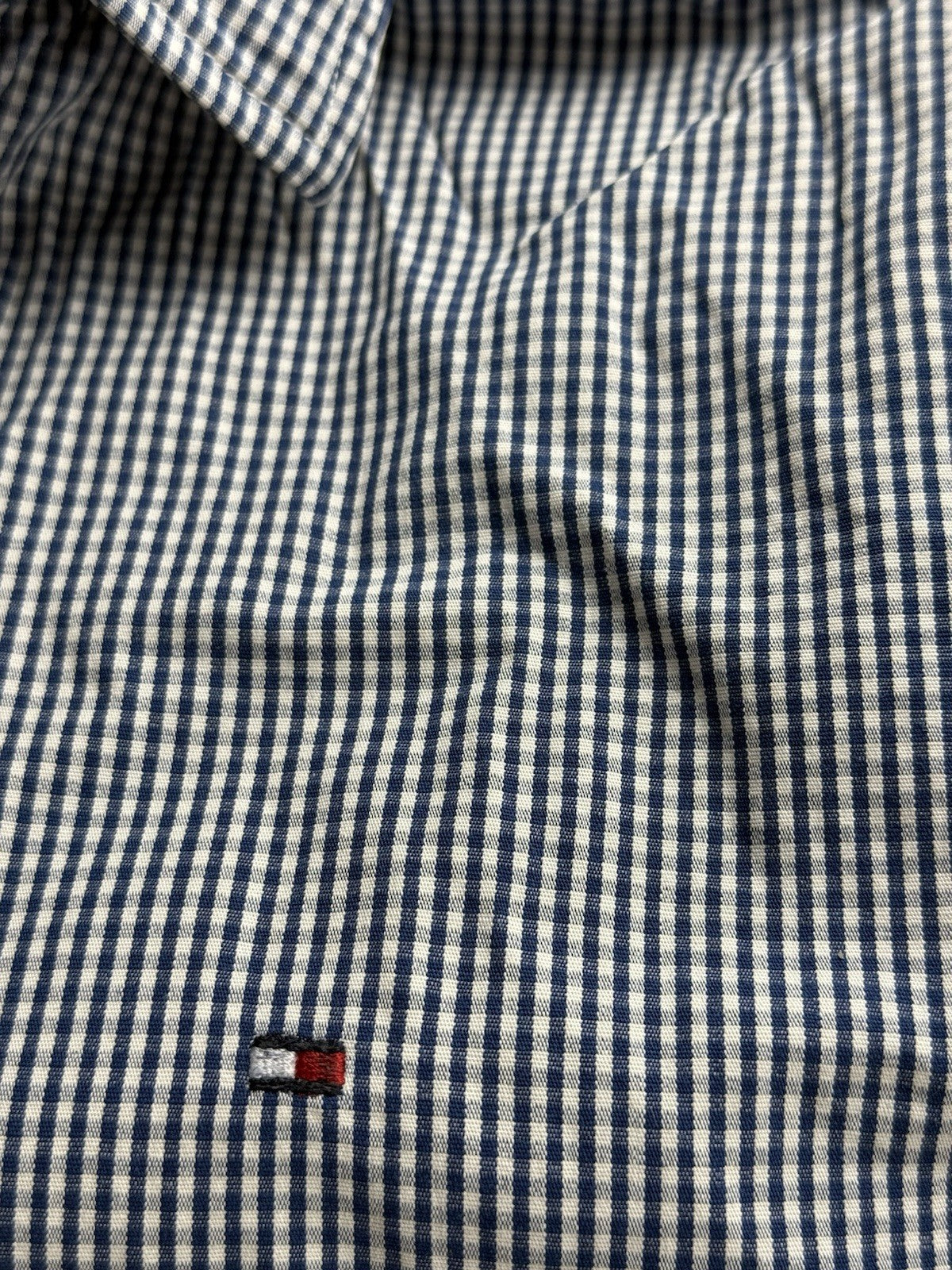 Tommy Hilfiger Blue Check Shirt XS