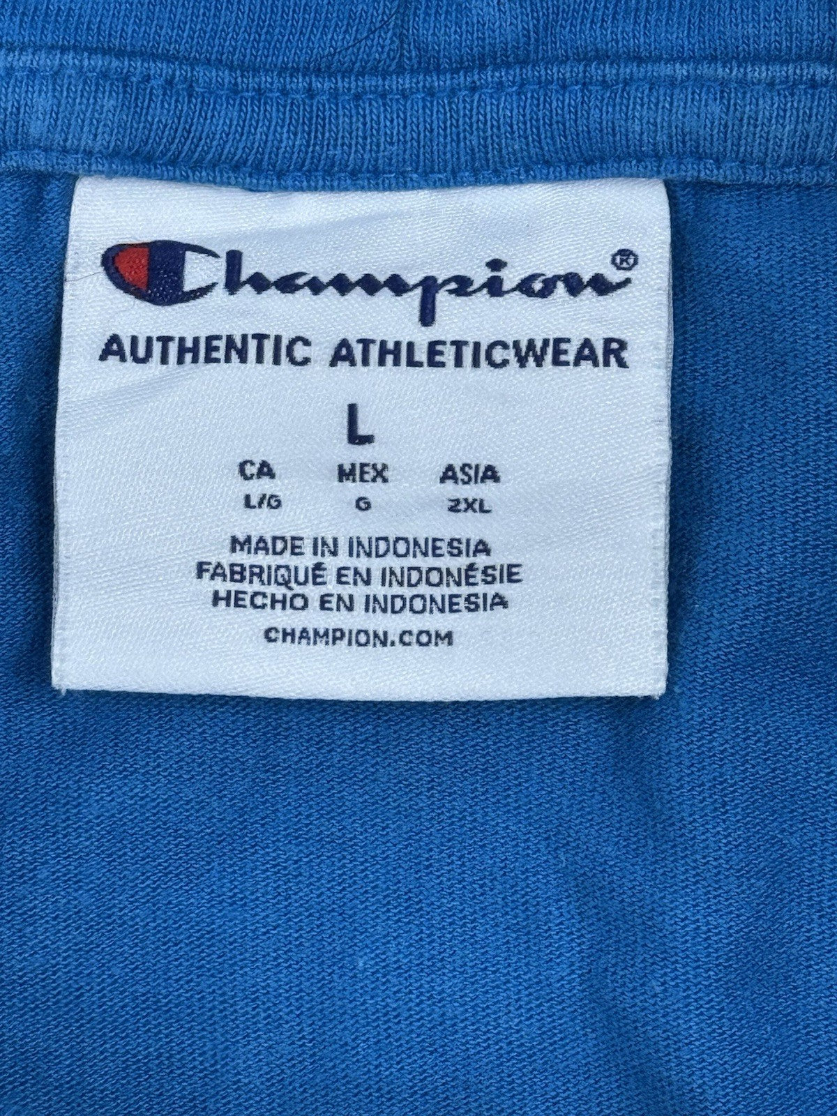 Champion Blue Printed Hoodie Large