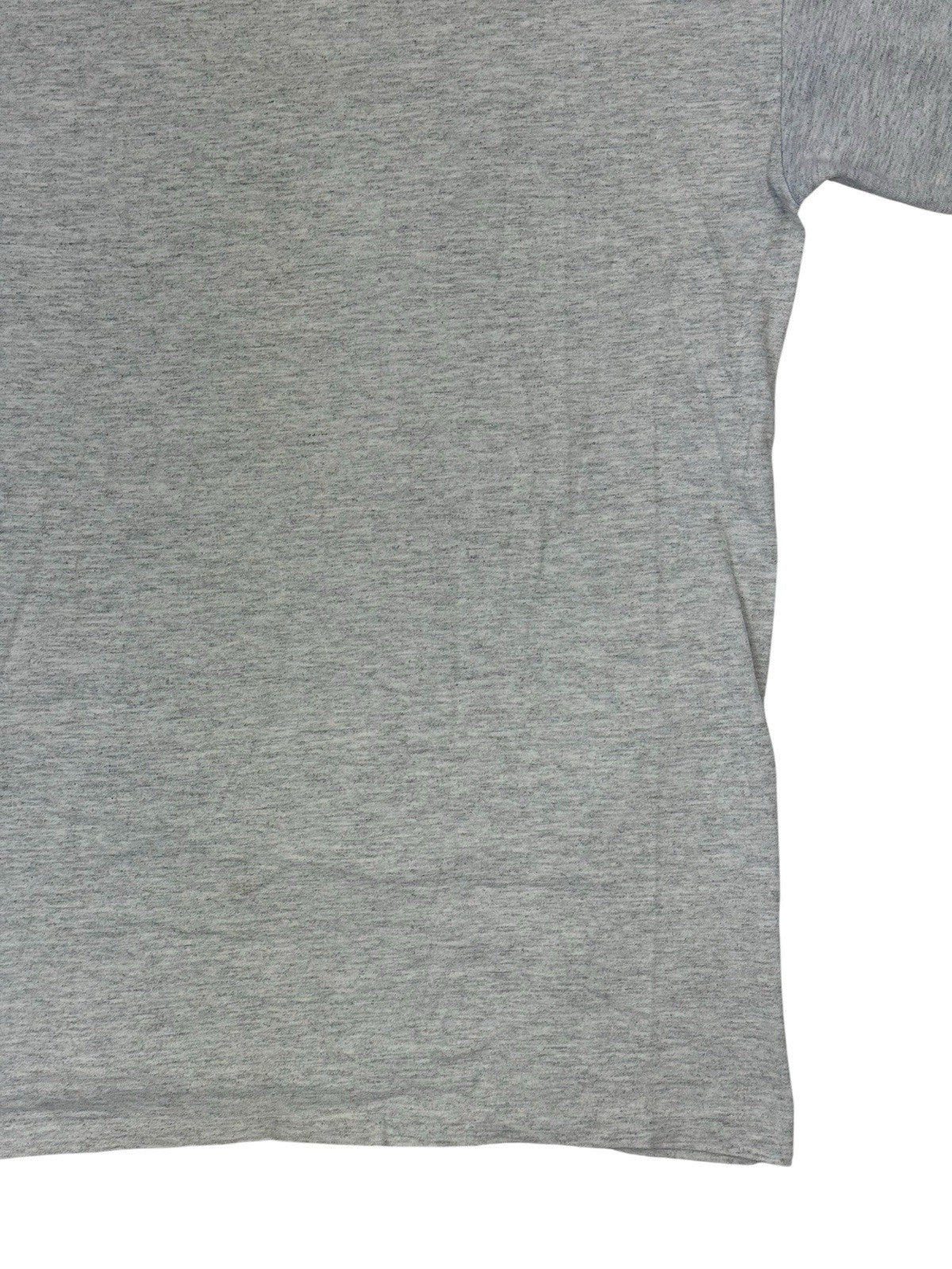 Vintage Chicago Aquarium Grey Print Top Large