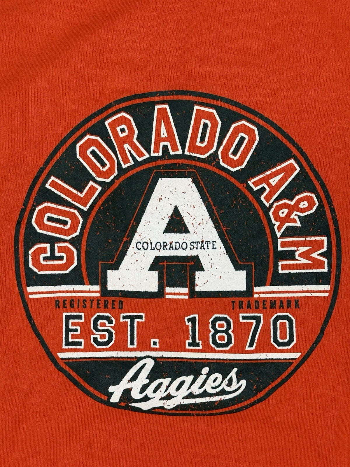 Champion Orange Colorado State Retro Jumper Large