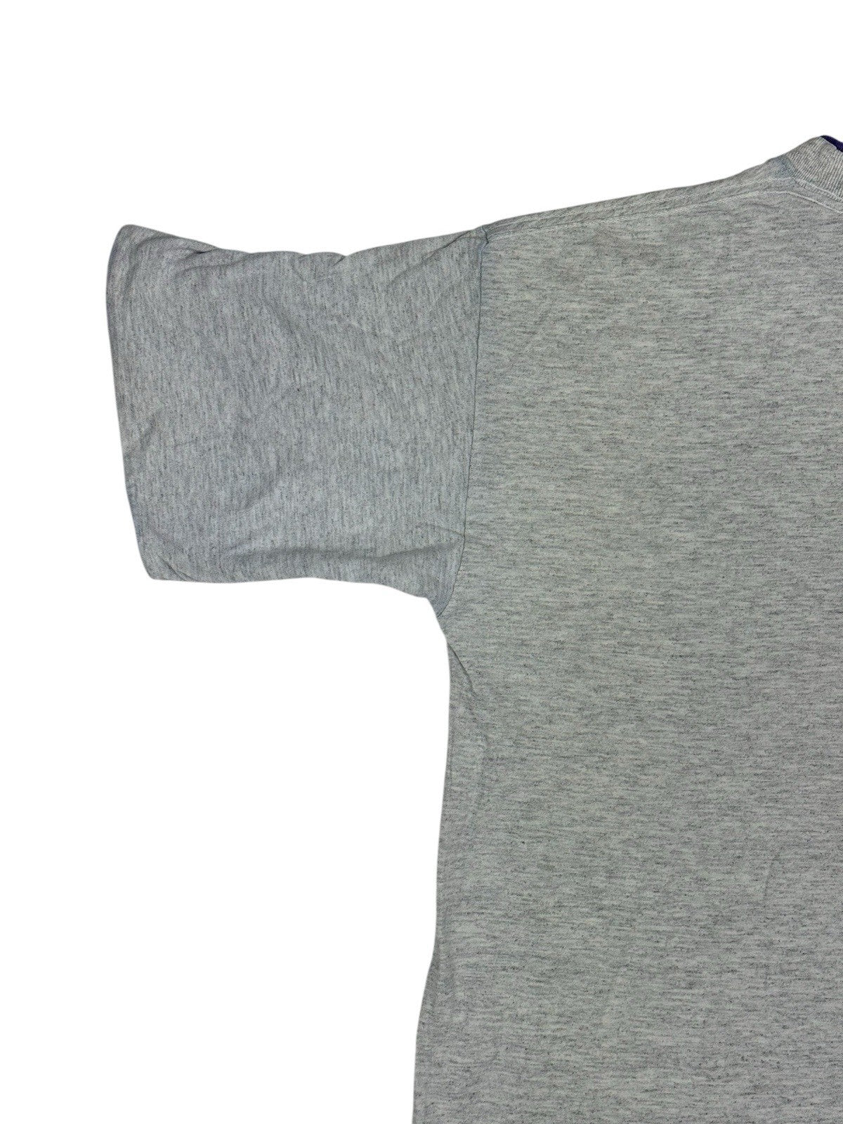Vintage Chicago Aquarium Grey Print Top Large
