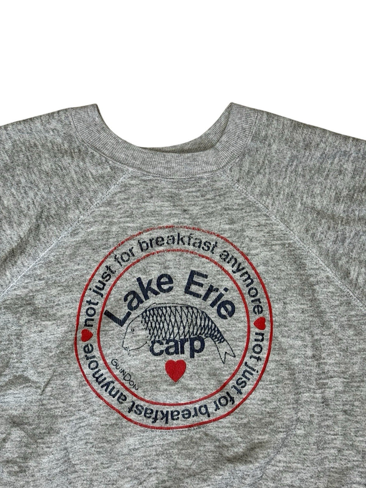 Lake Erie Vintage Funny Print Grey Jumper XL