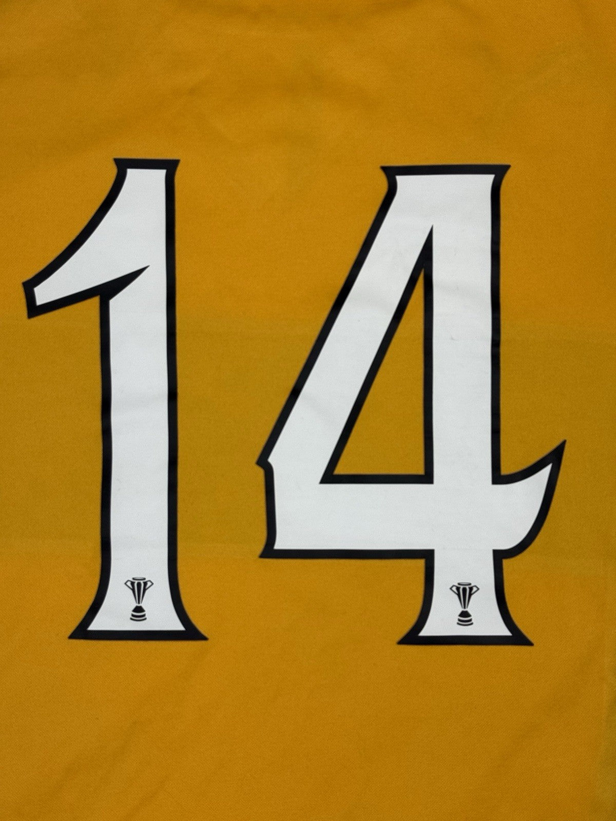 Motherwell FC 2013/14 Home Top Small