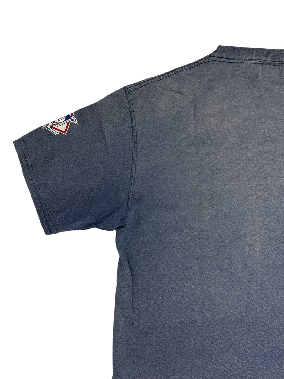 Vintage Lee Chicago Cubs Distressed Top Large