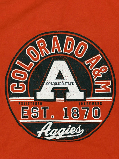 Champion Orange Colorado State Retro Jumper Large