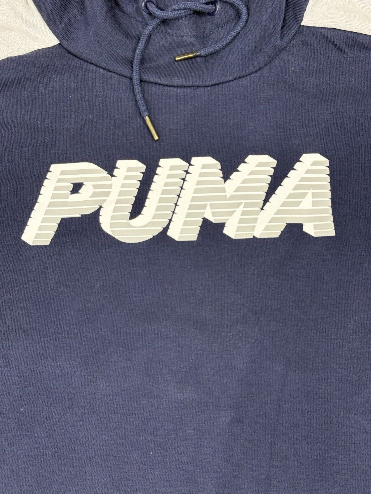 Puma Blue Colourblock Print Spellout Logo Hoodie Sweatshirt Medium
