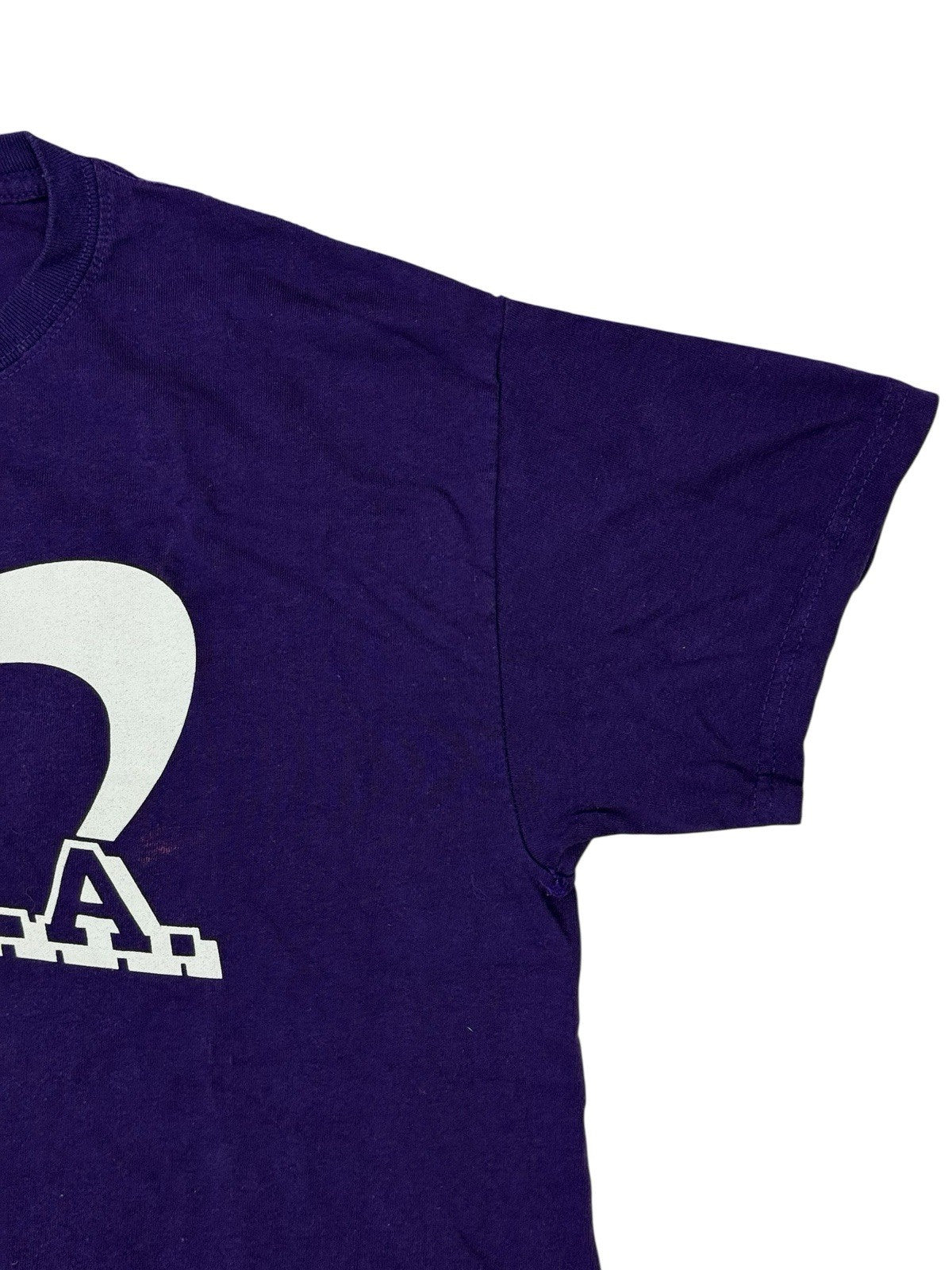 Gildan Purple American School Sports Printed HGRA Top Medium