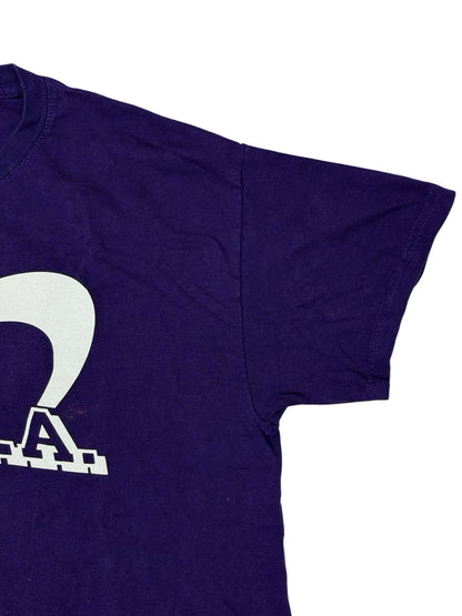 Gildan Purple American School Sports Printed HGRA Top Medium