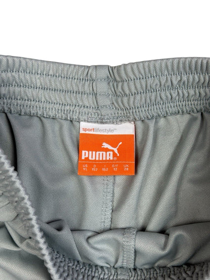 Puma Motherwell FC Shorts Youth Large