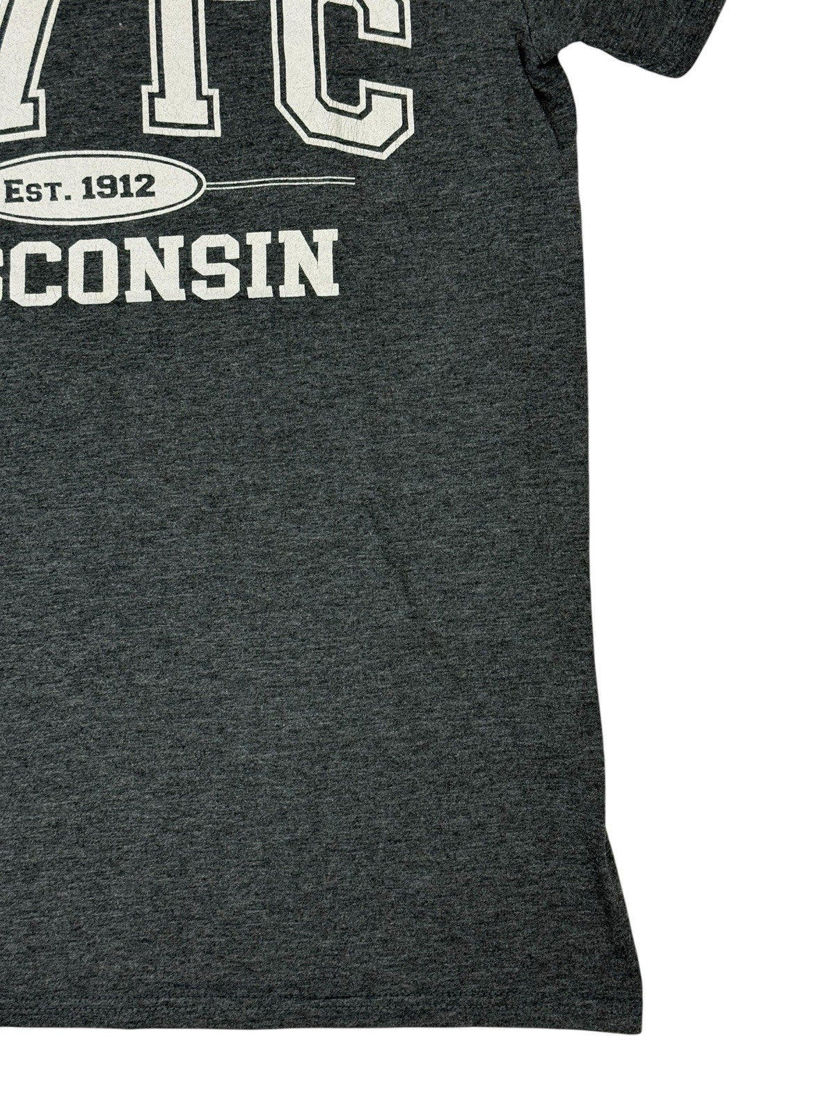 Chippewa Valley Technical College Retro Grey Printed USA Sports Top Small